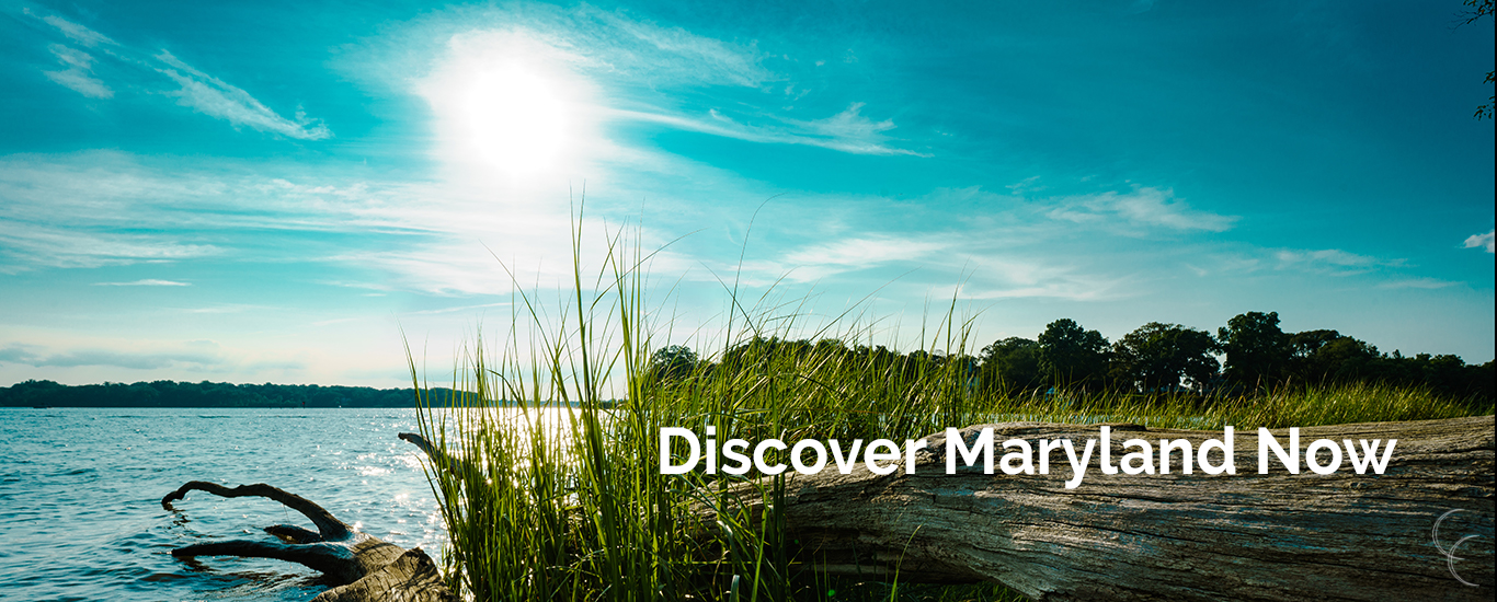 Discover Virginia Now